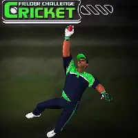 Cricket Fielder Challenge Game - Unblocked Games 24h - UBG24h