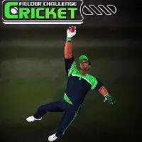 Cricket Fielder Challenge Game - Unblocked Games 24h - UBG24h