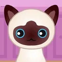 Guess The Kitty - Unblocked Games 24h - UBG24h